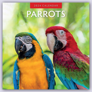 Parrots - Papageien 2024 - 16-Monatskalender