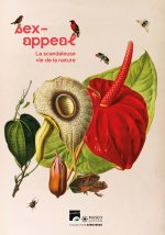 Sex-appeal