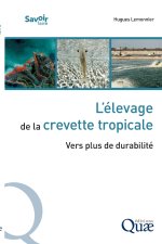 L'élevage de la crevette tropicale