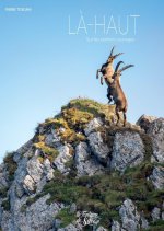 Le monde d'en-haut