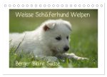 Weisse Schäferhund Welpen - Berger Blanc Suisse (Tischkalender 2024 DIN A5 quer), CALVENDO Monatskalender