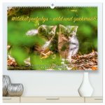 Wildkatzenbabys - wild und zuckersüß. (hochwertiger Premium Wandkalender 2024 DIN A2 quer), Kunstdruck in Hochglanz