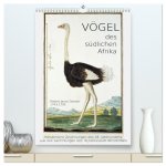 Vögel des südlichen Afrika (hochwertiger Premium Wandkalender 2024 DIN A2 hoch), Kunstdruck in Hochglanz