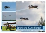 Sportliche Kunstflieger (Wandkalender 2024 DIN A4 quer), CALVENDO Monatskalender