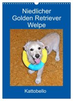 Niedlicher Golden Retriever Welpe (Wandkalender 2024 DIN A3 hoch), CALVENDO Monatskalender