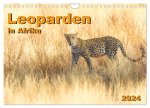 Leoparden in Afrika (Wandkalender 2024 DIN A4 quer), CALVENDO Monatskalender