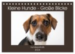 Kleine Hunde - Große Blicke (Tischkalender 2024 DIN A5 quer), CALVENDO Monatskalender