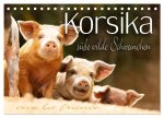 Korsika - süße, wilde Schweinchen (Tischkalender 2024 DIN A5 quer), CALVENDO Monatskalender