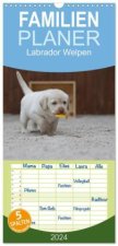 Familienplaner 2024 - Labrador Welpen mit 5 Spalten (Wandkalender, 21 x 45 cm) CALVENDO