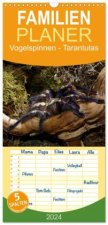 Familienplaner 2024 - Vogelspinnen - Tarantulas mit 5 Spalten (Wandkalender, 21 x 45 cm) CALVENDO