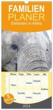 Familienplaner 2024 - Elefanten in Afrika mit 5 Spalten (Wandkalender, 21 x 45 cm) CALVENDO