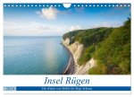 Insel Rügen - Die Küste von Sellin bis Kap Arkona (Wandkalender 2024 DIN A4 quer), CALVENDO Monatskalender