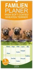 Familienplaner 2024 - IRISH SOFT COATED WHEATEN TERRIER mit 5 Spalten (Wandkalender, 21 x 45 cm) CALVENDO