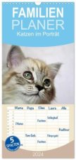 Familienplaner 2024 - Katzen im Porträt / Geburtstagskalender mit 5 Spalten (Wandkalender, 21 x 45 cm) CALVENDO