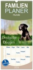 Familienplaner 2024 - Deutsche Doggen / Geburtstagskalender mit 5 Spalten (Wandkalender, 21 x 45 cm) CALVENDO