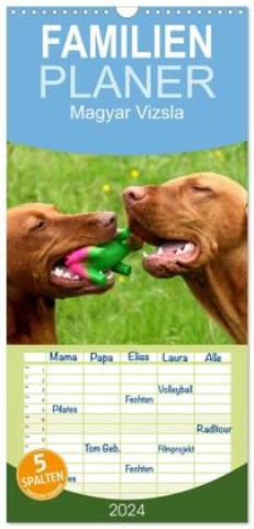 Familienplaner 2024 - Magyar Vizsla mit 5 Spalten (Wandkalender, 21 x 45 cm) CALVENDO