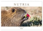 NUTRIA mit Nachwuchs (Wandkalender 2024 DIN A2 quer), CALVENDO Monatskalender