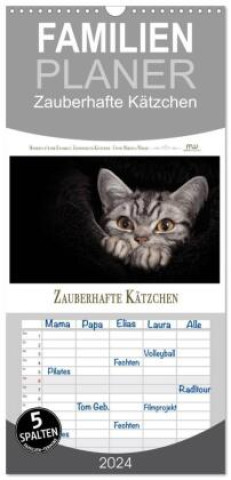 Familienplaner 2024 - Zauberhafte Kätzchen mit 5 Spalten (Wandkalender, 21 x 45 cm) CALVENDO