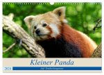 Kleiner Panda auf Entdeckungstour (Wandkalender 2024 DIN A3 quer), CALVENDO Monatskalender