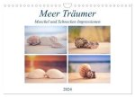 Meer Träumer - Muscheln und Schnecken Impressionen (Wandkalender 2024 DIN A4 quer), CALVENDO Monatskalender