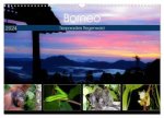 Borneo - Tierparadies Regenwald (Wandkalender 2024 DIN A3 quer), CALVENDO Monatskalender
