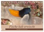 Sven Gruse taucht ab! Fische kalt erwischt (Tischkalender 2024 DIN A5 quer), CALVENDO Monatskalender