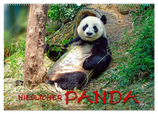 Niedlicher Panda (Wandkalender 2024 DIN A2 quer), CALVENDO Monatskalender