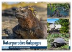 Naturparadies Galapagos - UNESCO Weltkulturerbe (Wandkalender 2024 DIN A3 quer), CALVENDO Monatskalender