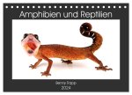 Amphibien und Reptilien (Tischkalender 2024 DIN A5 quer), CALVENDO Monatskalender