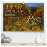 Augenschmaus Pfalz (hochwertiger Premium Wandkalender 2024 DIN A2 quer), Kunstdruck in Hochglanz
