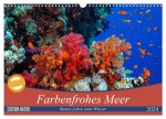 Farbenfrohes Meer (Wandkalender 2024 DIN A3 quer), CALVENDO Monatskalender