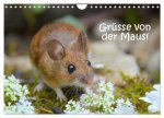 Grüsse von der Maus! (Wandkalender 2024 DIN A4 quer), CALVENDO Monatskalender