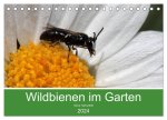 Wildbienen im Garten (Tischkalender 2024 DIN A5 quer), CALVENDO Monatskalender
