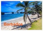 Barbados (Wandkalender 2024 DIN A4 quer), CALVENDO Monatskalender