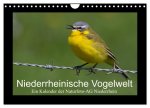 Niederrheinische Vogelwelt (Wandkalender 2024 DIN A4 quer), CALVENDO Monatskalender