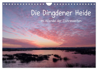 Die Dingdener Heide im Wandel der Jahreszeiten (Wandkalender 2024 DIN A4 quer), CALVENDO Monatskalender