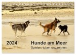 Hunde am Meer - Spielen, toben und rennen (Tischkalender 2024 DIN A5 quer), CALVENDO Monatskalender