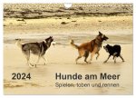 Hunde am Meer - Spielen, toben und rennen (Wandkalender 2024 DIN A4 quer), CALVENDO Monatskalender
