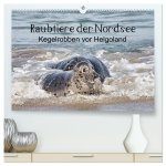 Raubtier der Nordsee - Kegelrobben vor Helgoland (hochwertiger Premium Wandkalender 2024 DIN A2 quer), Kunstdruck in Hochglanz