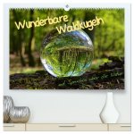 Wunderbare Waldkugeln (hochwertiger Premium Wandkalender 2024 DIN A2 quer), Kunstdruck in Hochglanz