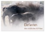 Elefanten des südlichen Afrikas (Wandkalender 2024 DIN A3 quer), CALVENDO Monatskalender