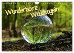 Wunderbare Waldkugeln (Wandkalender 2024 DIN A4 quer), CALVENDO Monatskalender