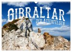 Gibraltar - der Affenfelsen (Wandkalender 2024 DIN A3 quer), CALVENDO Monatskalender