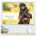 Hunde 2024 - Treue Begleiter (hochwertiger Premium Wandkalender 2024 DIN A2 quer), Kunstdruck in Hochglanz
