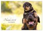 Hunde 2024 - Treue Begleiter (Wandkalender 2024 DIN A2 quer), CALVENDO Monatskalender