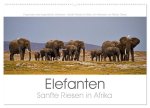Elefanten - Sanfte Riesen in Afrika (Wandkalender 2024 DIN A2 quer), CALVENDO Monatskalender
