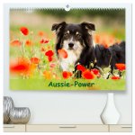 Aussie-Power (hochwertiger Premium Wandkalender 2024 DIN A2 quer), Kunstdruck in Hochglanz