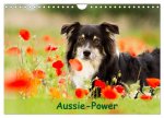 Aussie-Power (Wandkalender 2024 DIN A4 quer), CALVENDO Monatskalender