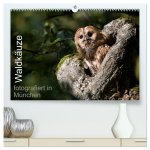 Waldkäuze, fotografiert in München (hochwertiger Premium Wandkalender 2024 DIN A2 quer), Kunstdruck in Hochglanz