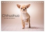 Chihuahua - Die Welt der Kleinen (Tischkalender 2024 DIN A5 quer), CALVENDO Monatskalender